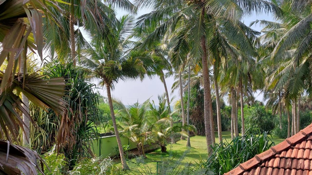Bandulas Beach House Hikkaduwa Exterior foto